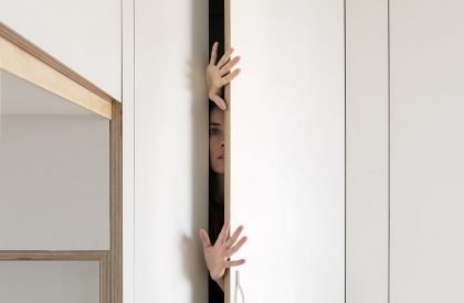 SMM penthouse | Anna Solaz Arquitectes + CRUX arquitectos