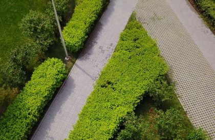 Comfort Town | Archimatika