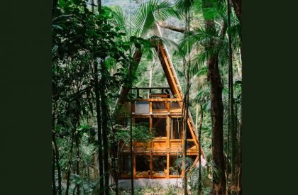 Weekly Highlights 2021 #20