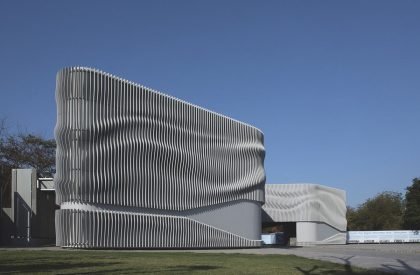 AR Studio | Apical Reform Studio