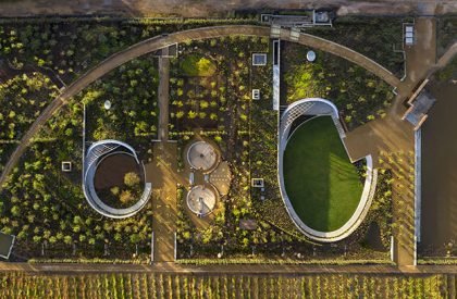 Garden cafe | Steyn Studio + Meyer & Associates + Square One Landscape Architects