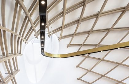 Garden cafe | Steyn Studio + Meyer & Associates + Square One Landscape Architects