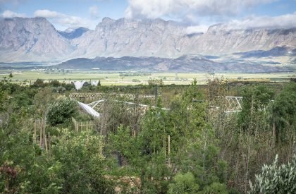 Garden cafe | Steyn Studio + Meyer & Associates + Square One Landscape Architects