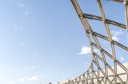 Garden cafe | Steyn Studio + Meyer & Associates + Square One Landscape Architects