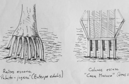 Monkey House | Atelier Marko Brajovic