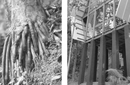 Monkey House | Atelier Marko Brajovic