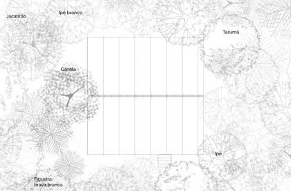 Monkey House | Atelier Marko Brajovic