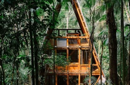 Monkey House | Atelier Marko Brajovic