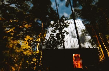 Monkey House | Atelier Marko Brajovic