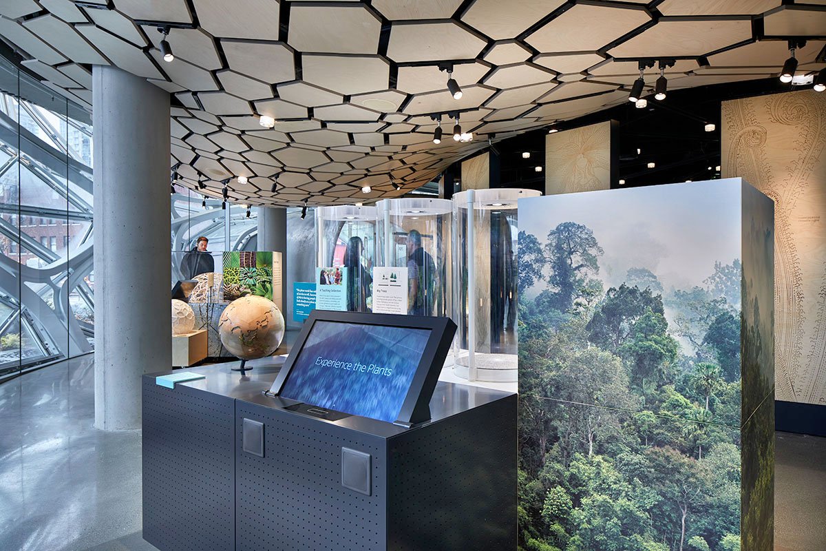 Understory at The Spheres | Graham Baba Architects