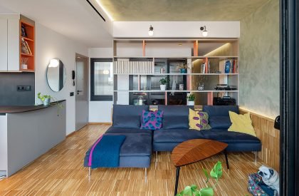 Atic DT | FFWD Arquitectes