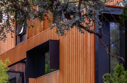 SL House | Ben Walker Architects