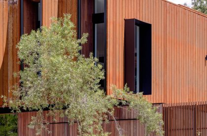 SL House | Ben Walker Architects