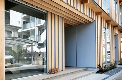 Office in Sakurazaka | Design Associates Nakamura