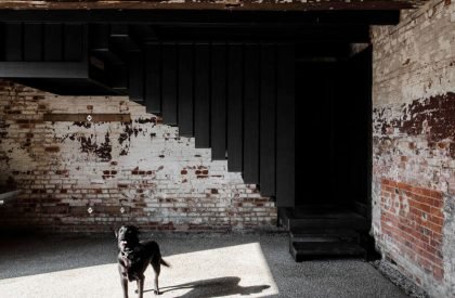 Symmons Plains | Cumulus Studio