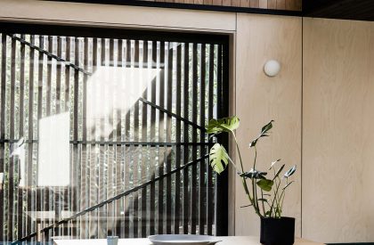 Light Corridor House | Figr Architecture Studio