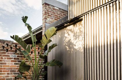 Light Corridor House | Figr Architecture Studio