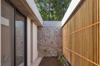 Casa C | Estudio PKa
