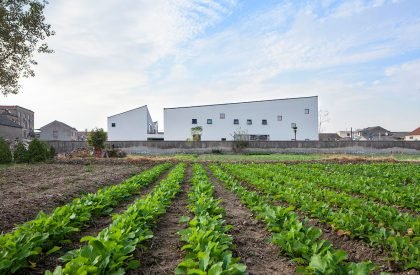 Shuoji Kindergarten | Crossboundaries