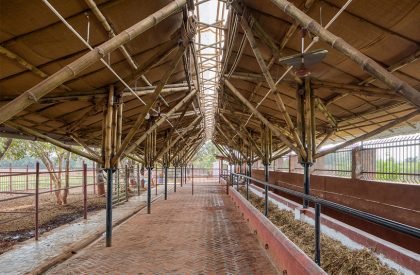 Weekly Highlights 2021 #33