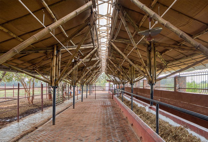 Weekly Highlights 2021 #33