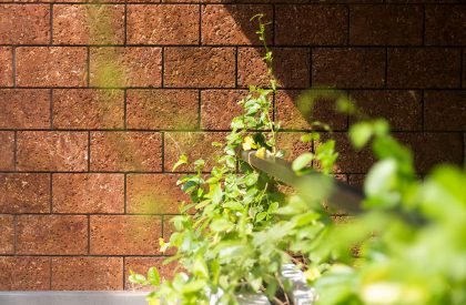 Aaron’s courtyard | The Design Room