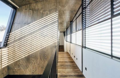 Reverse Tree Change House | Mitsuori Architects