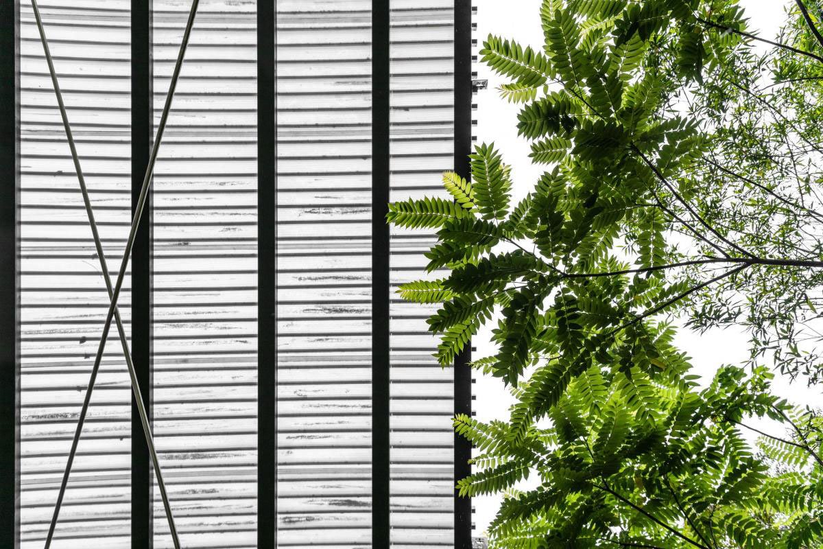 Fushan Chapel | Wooyo Architecture