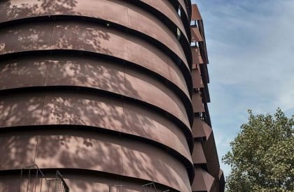 Rug Republic | Architecture Discipline