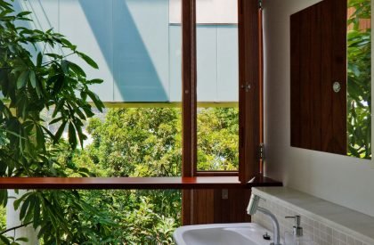 Rug Republic | Architecture Discipline