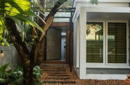 Side Yard | Studio Acis