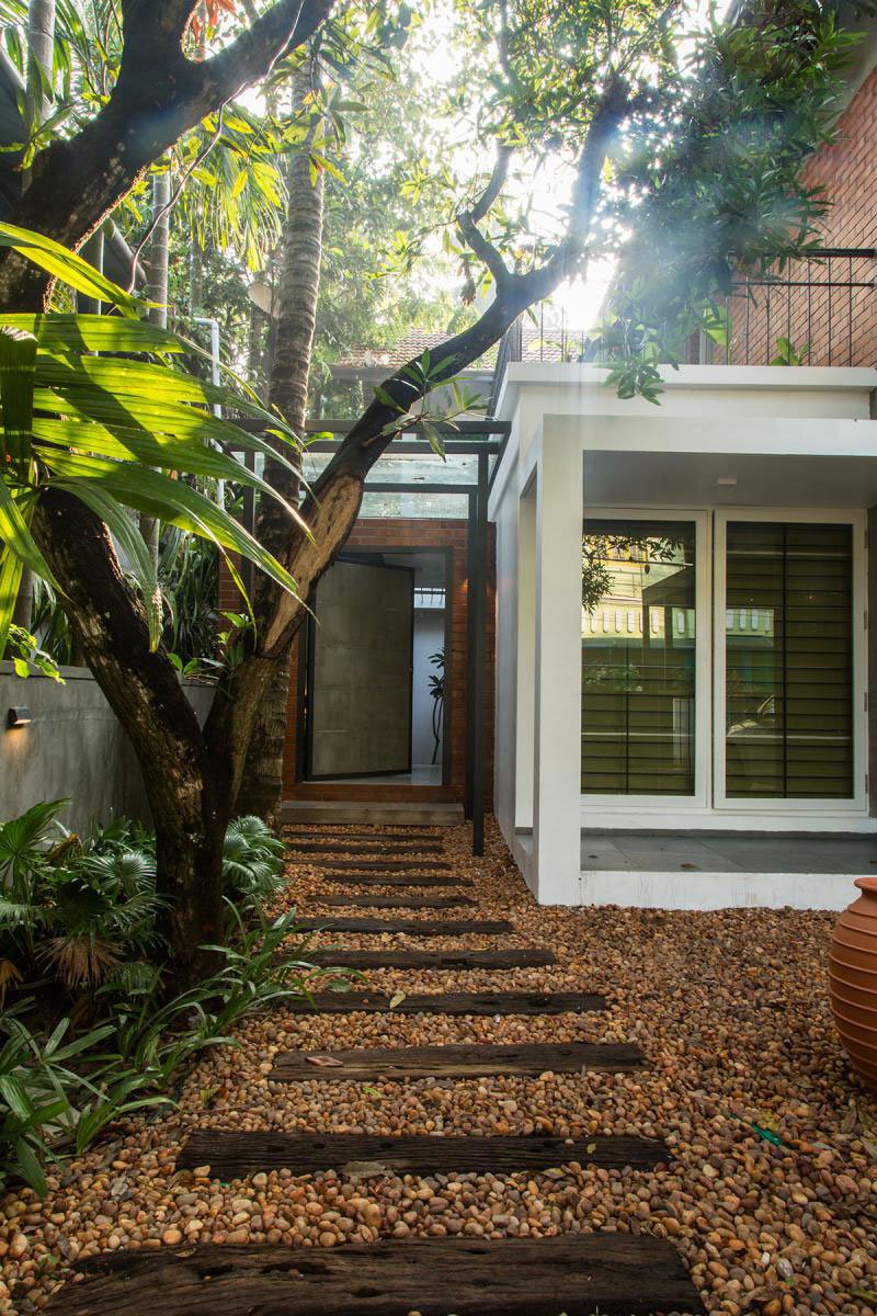 Side Yard | Studio Acis