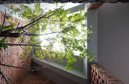 TB-House | Trung tran studio