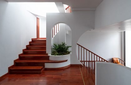 T-SL | Trung tran studio