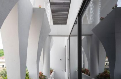 T-SL | Trung tran studio