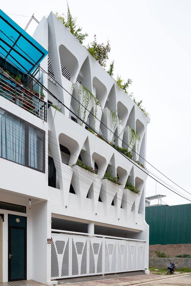 T-SL | Trung tran studio