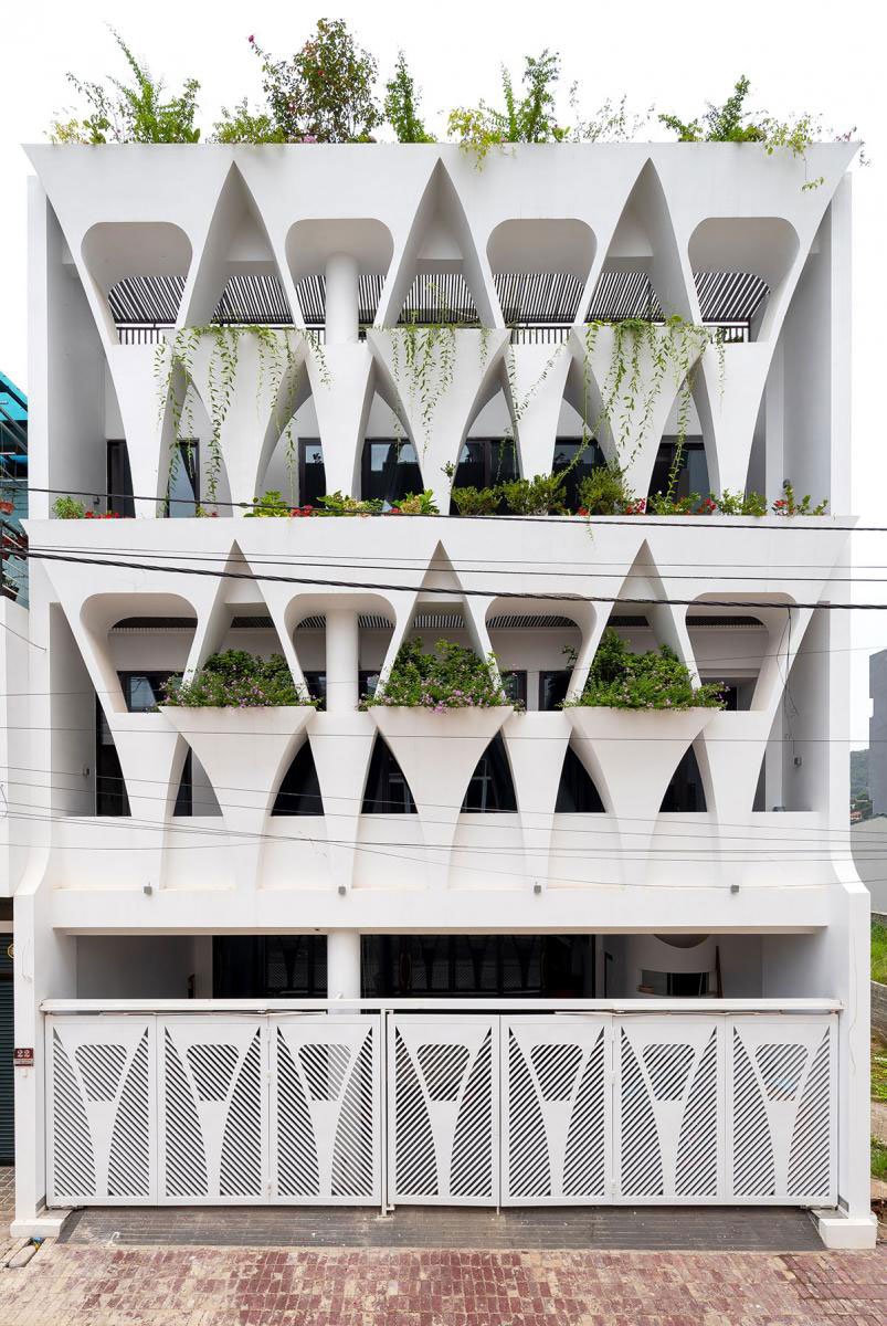 T-SL | Trung tran studio