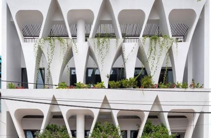 T-SL | Trung tran studio