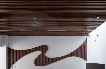 T-SL | Trung tran studio