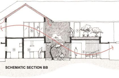 Side Yard | Studio Acis