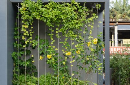 Mothimahal Gold & Diamonds | ENVID Atelier