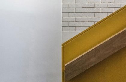 Seven Lives | Anna & Eugeni Bach