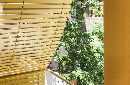 Seven Lives | Anna & Eugeni Bach