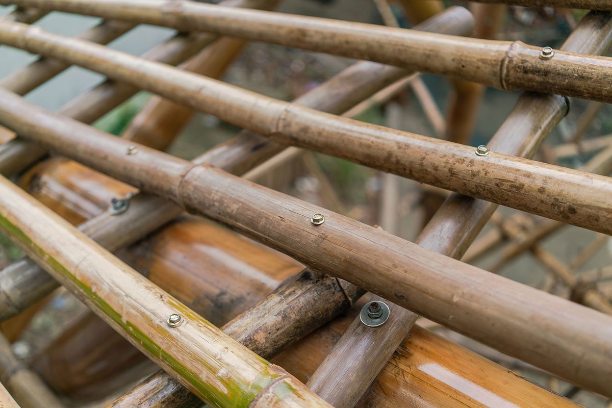Bamboo Playground | Blue Temple