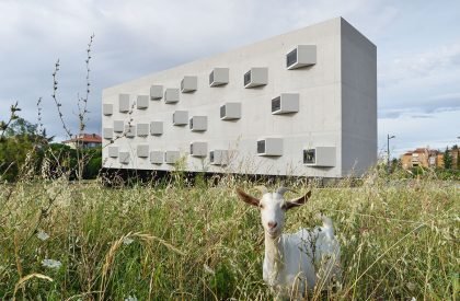 University Campus Izola | Dekleva Gregoric Architects