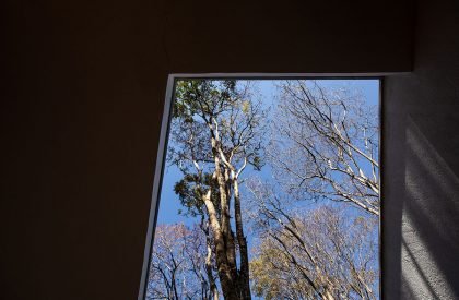 Soil House | Tetro Arquitetura