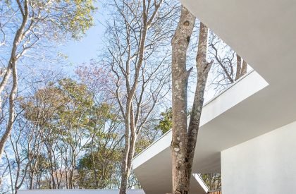 Soil House | Tetro Arquitetura