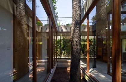 House among trees | Berson Arquitectura