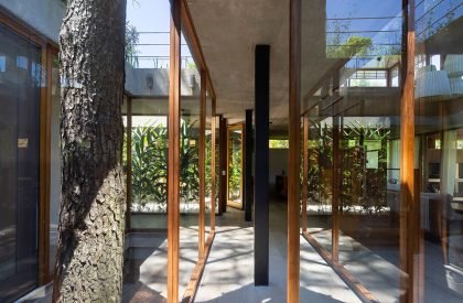 House among trees | Berson Arquitectura