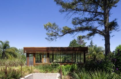 House among trees | Berson Arquitectura